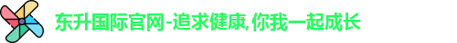 东升国际